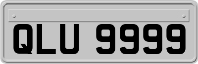 QLU9999