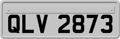 QLV2873