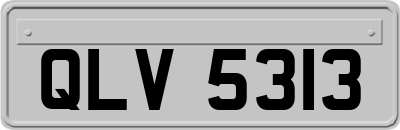 QLV5313