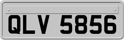 QLV5856