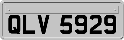 QLV5929