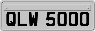 QLW5000