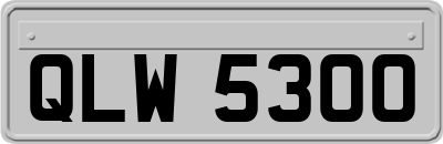 QLW5300