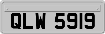 QLW5919