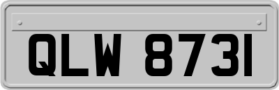 QLW8731