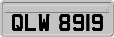 QLW8919