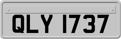 QLY1737