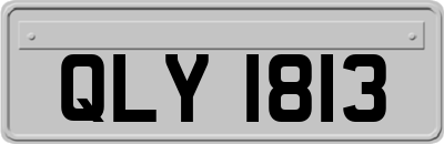 QLY1813