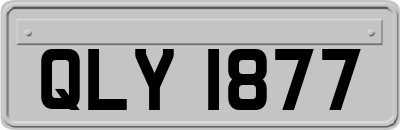 QLY1877