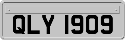 QLY1909