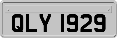 QLY1929