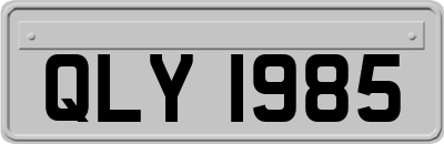 QLY1985