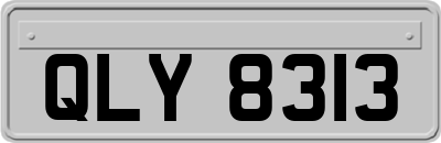 QLY8313