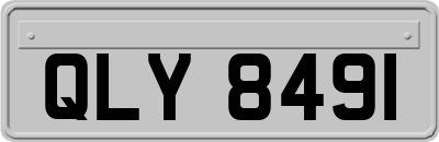 QLY8491