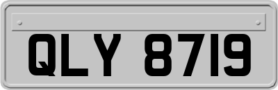 QLY8719