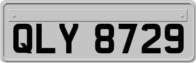 QLY8729