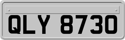 QLY8730