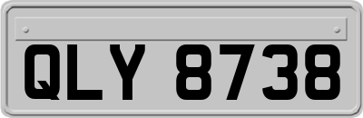 QLY8738