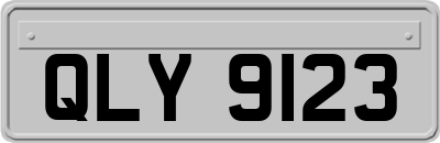 QLY9123