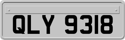 QLY9318