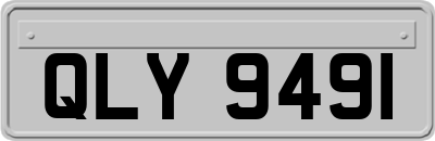 QLY9491