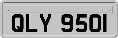 QLY9501