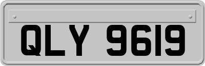 QLY9619