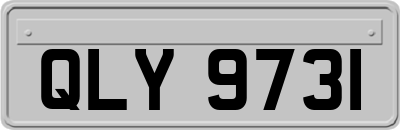 QLY9731