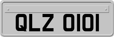 QLZ0101