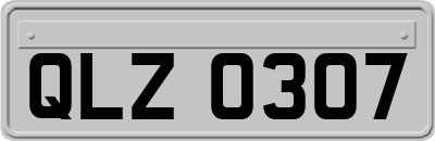 QLZ0307