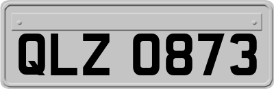 QLZ0873