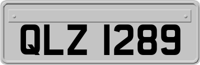 QLZ1289