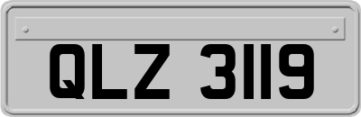 QLZ3119