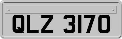 QLZ3170