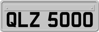 QLZ5000