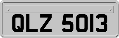 QLZ5013