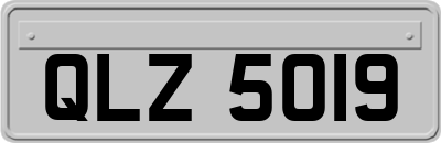 QLZ5019