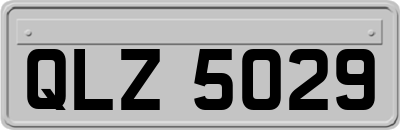 QLZ5029