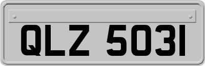 QLZ5031