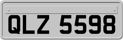 QLZ5598