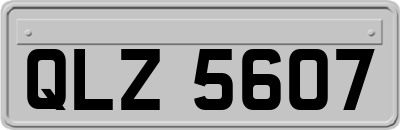 QLZ5607