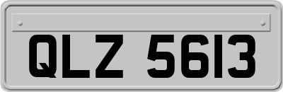 QLZ5613