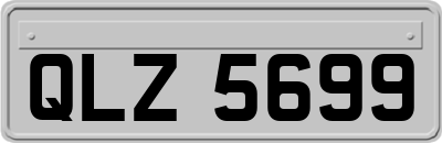 QLZ5699