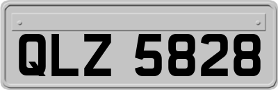 QLZ5828