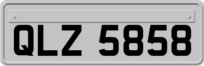 QLZ5858