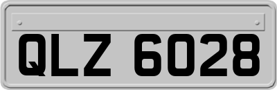 QLZ6028