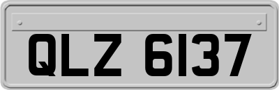 QLZ6137