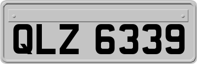 QLZ6339