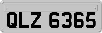 QLZ6365