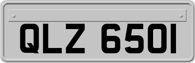 QLZ6501